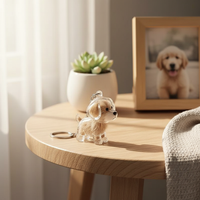 Cute Fuzzy Ball Keychain with Transparent Case for Pet Hair - Fixed Buy