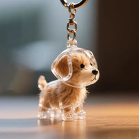 Cute Fuzzy Ball Keychain with Transparent Case for Pet Hair - Fixed Buy