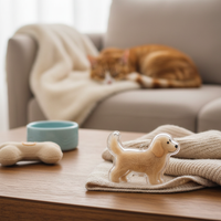 Cute Fuzzy Ball Keychain with Transparent Case for Pet Hair - Fixed Buy