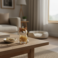 Cute Fuzzy Ball Keychain with Transparent Case for Pet Hair - Fixed Buy