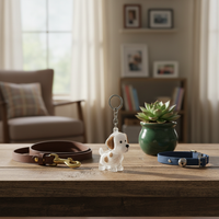 Cute Fuzzy Ball Keychain with Transparent Case for Pet Hair - Fixed Buy