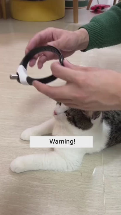 Interactive Smart LED Cat Toy for Endless Fun